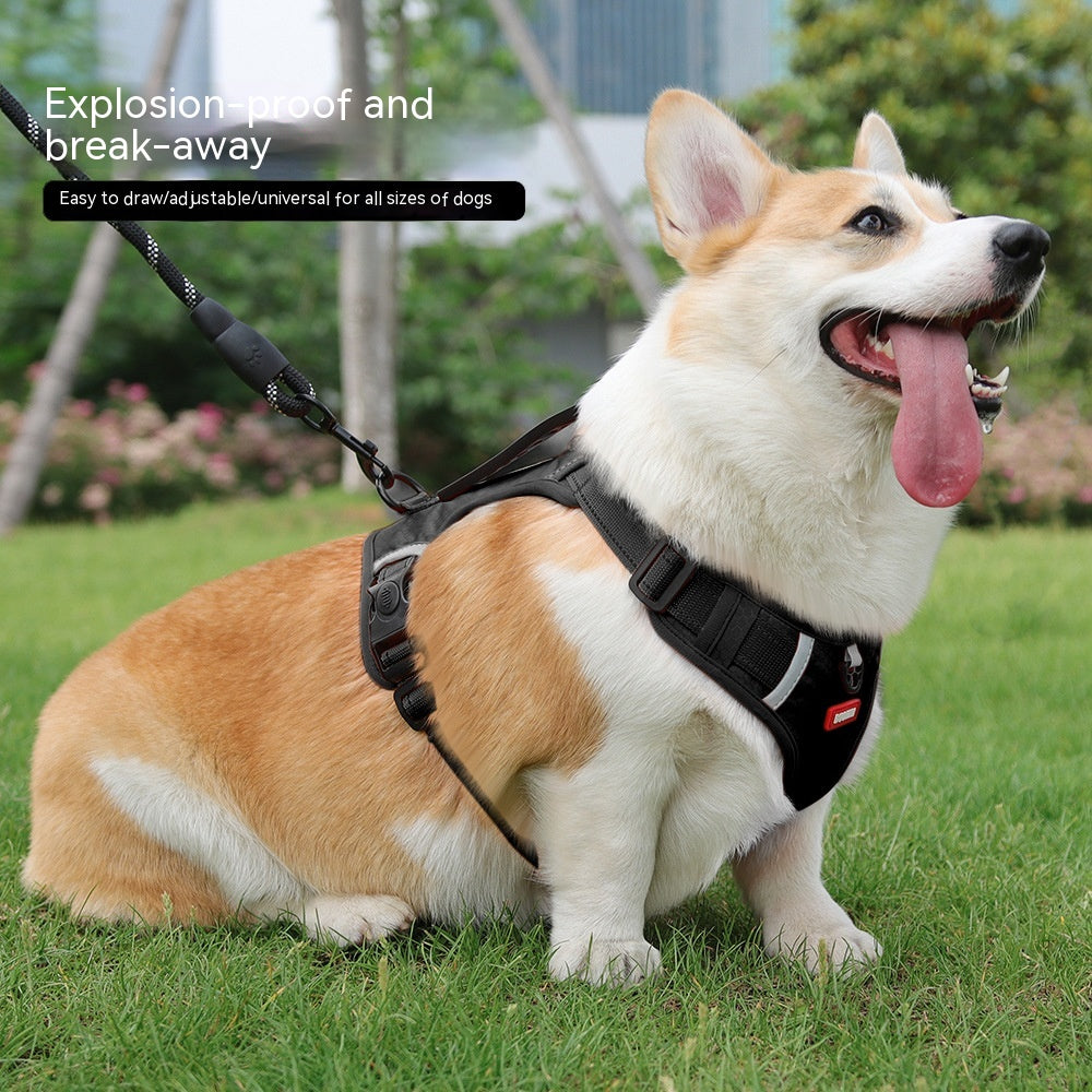 Reflektierendes Hunde-Brustgeschirr mit Leine – Bild 13 | LuxeStyle