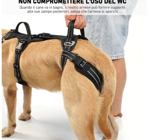 Gehhilfe für Haustiere – Bild 3 | LuxeStyle