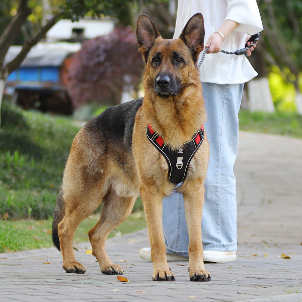 Hunde-Brustgeschirr aus Oxford-Stoff – Bild 3 | LuxeStyle