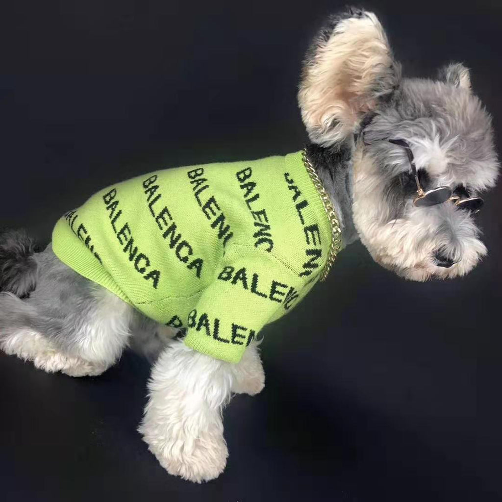 Hundepullover Frühlingsstrick schwarz/grün | LuxeStyle