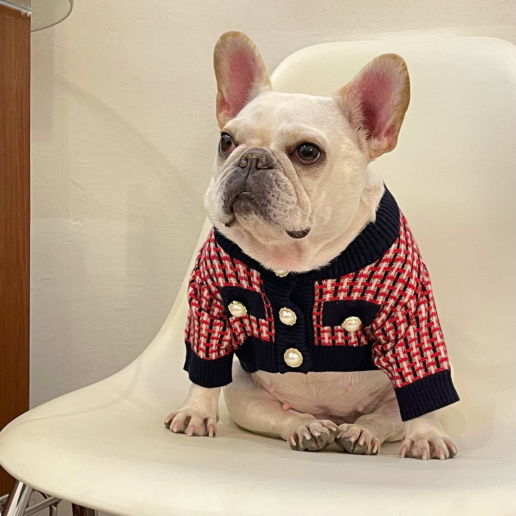 Wollpullover für Hunde – rote Freizeitmode | LuxeStyle