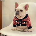 Wollpullover für Hunde – rote Freizeitmode | LuxeStyle