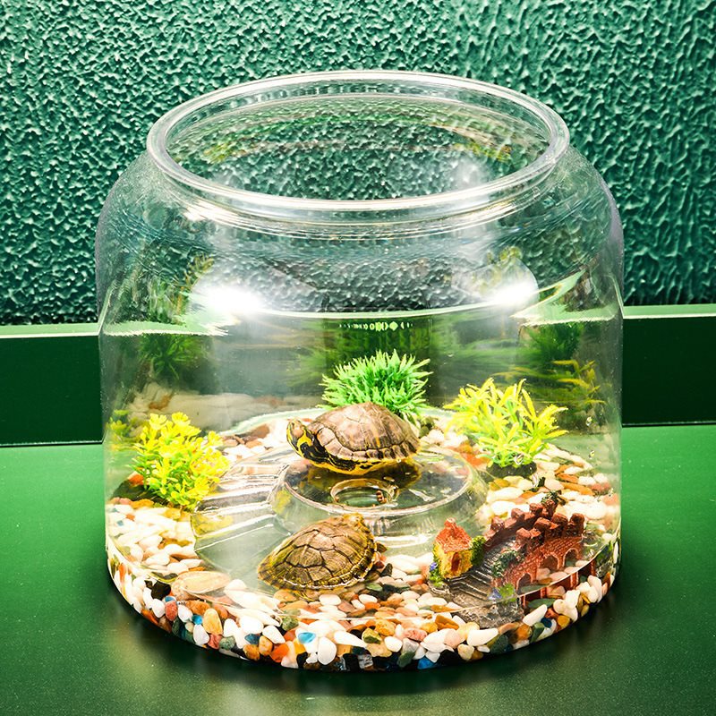 Pflanzkübel für Fische und Schildkröten