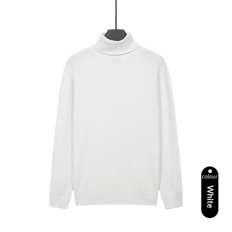 Herren Rollkragenpullover aus Strick