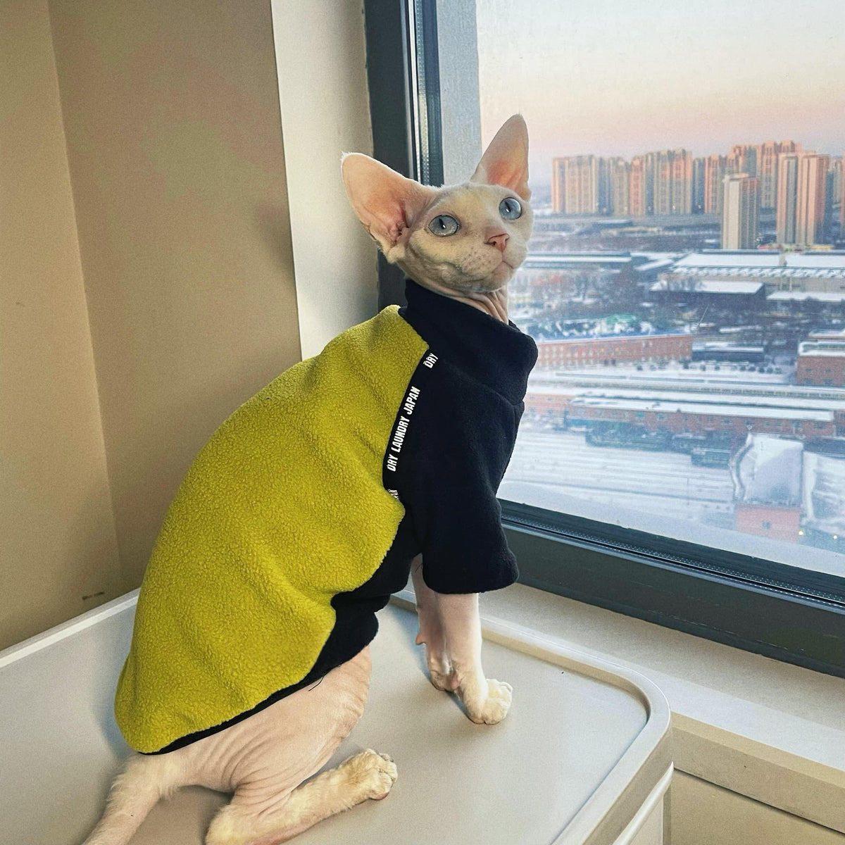 Dicker Polar-Fleece-Katzenpullover mit langen Ärmeln – Bild 3 | LuxeStyle