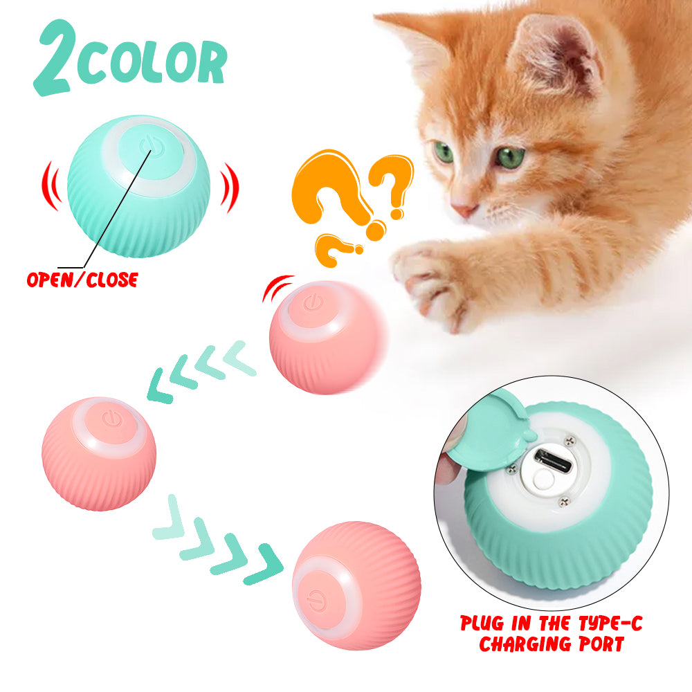 Intelligenter Rollball für Katzen