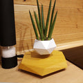 Schwebender Bonsai-Topf mit Magnet-Levitation
