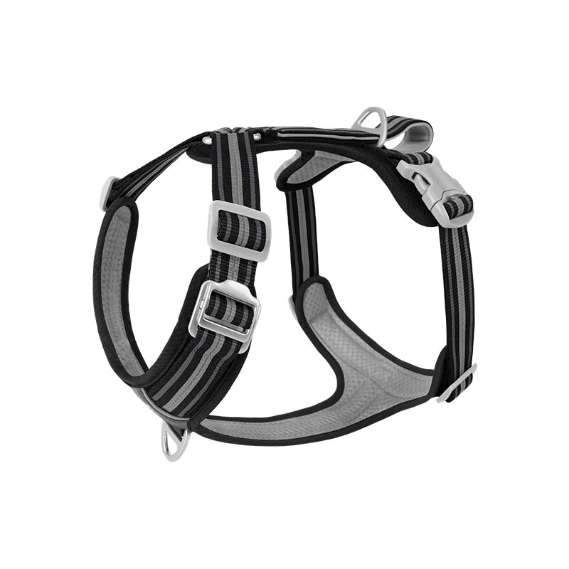 Reflektierendes Hundehalsband