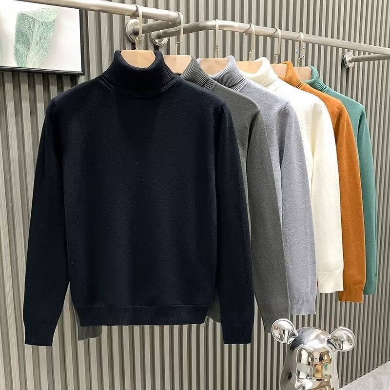 Herren Rollkragenpullover