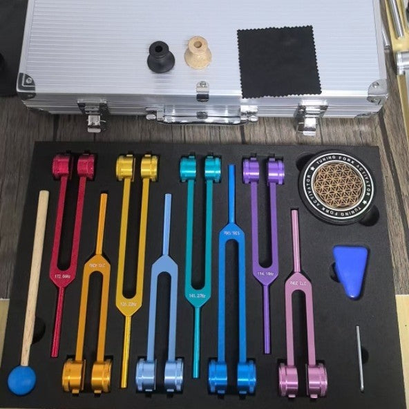 Ohrreinigung mit 8 Stimmstäben & Zubehör