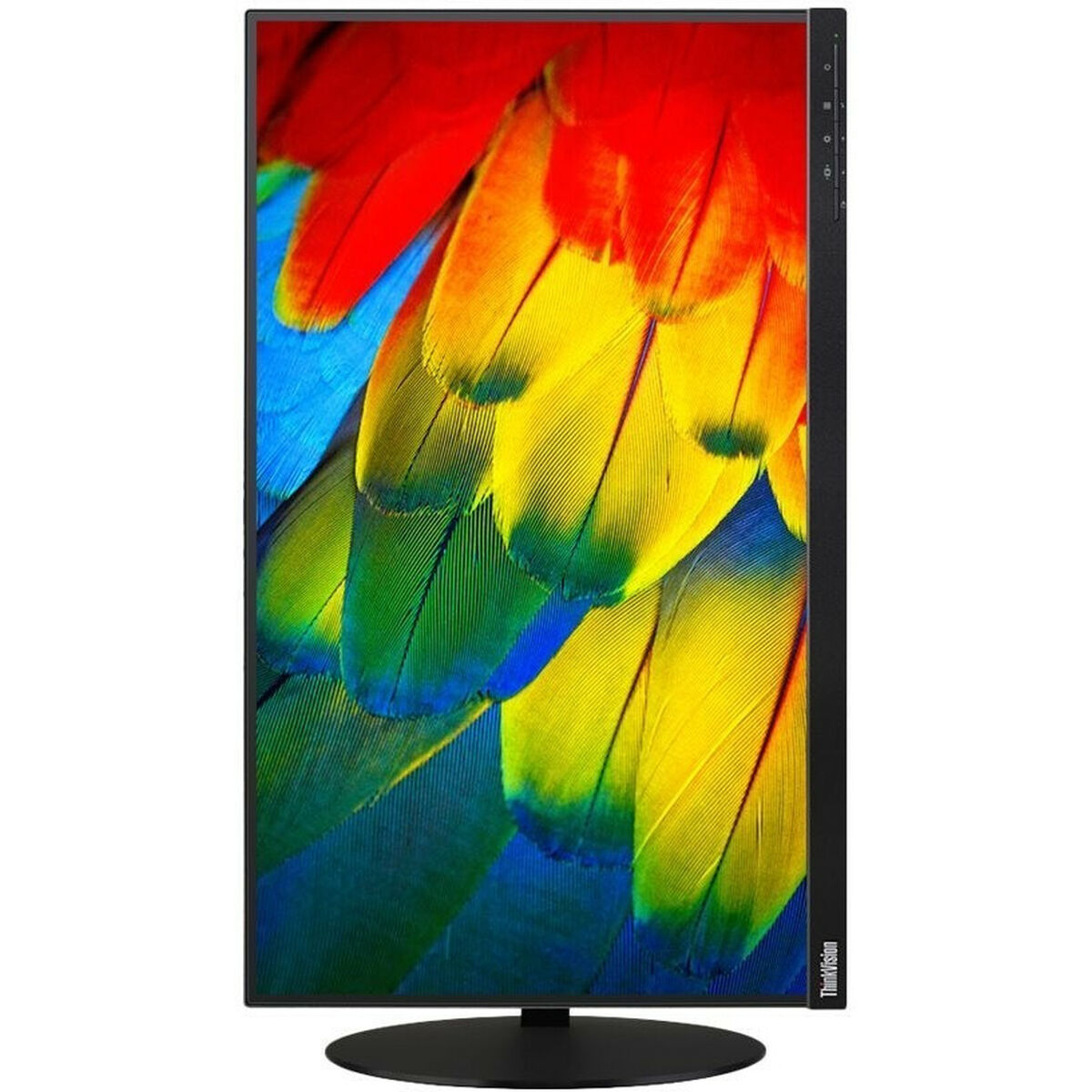 Monitor Lenovo ThinkVision T24MV-30 23,8" LED IPS Flicker free 75 Hz 5