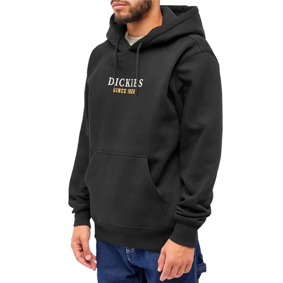 Herren-Hoodie «Dickies» Park Schwarz