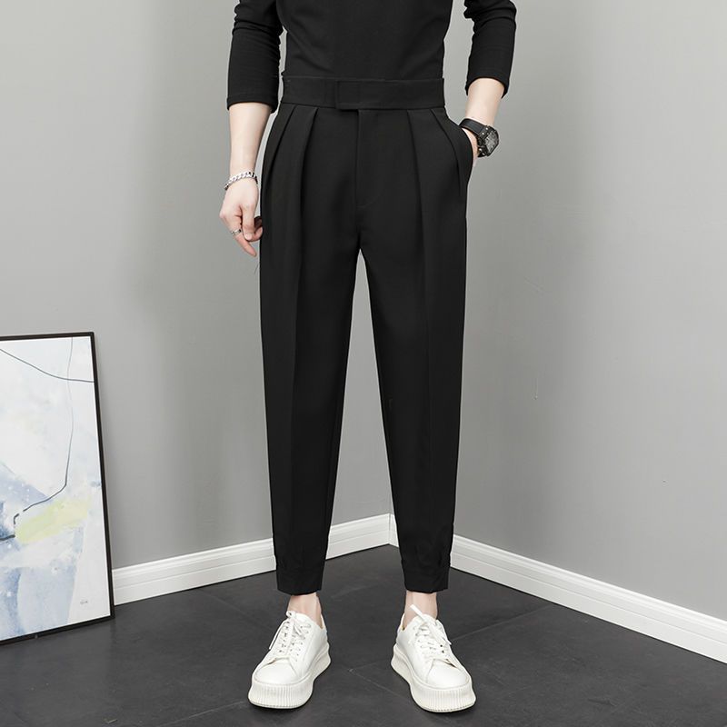 Herren Stoffhose plissiert · High-Waist, leicht (Frühling/Sommer)