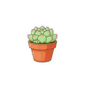 Sticker «Succulent» – LuxeStyle Schweiz
