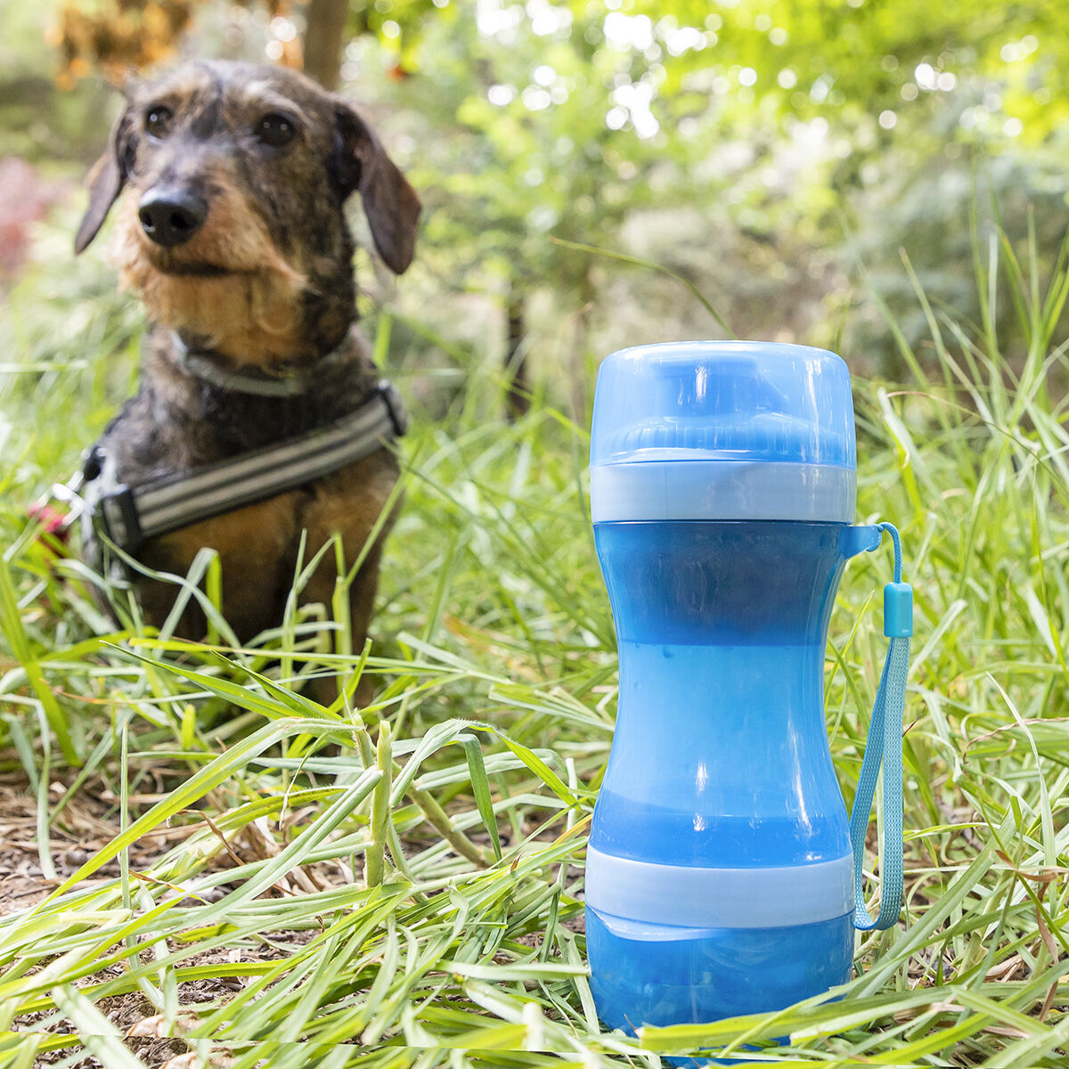 2 in 1 - Flasche mit Wasser- und Futterbehälter für Haustiere Pettap