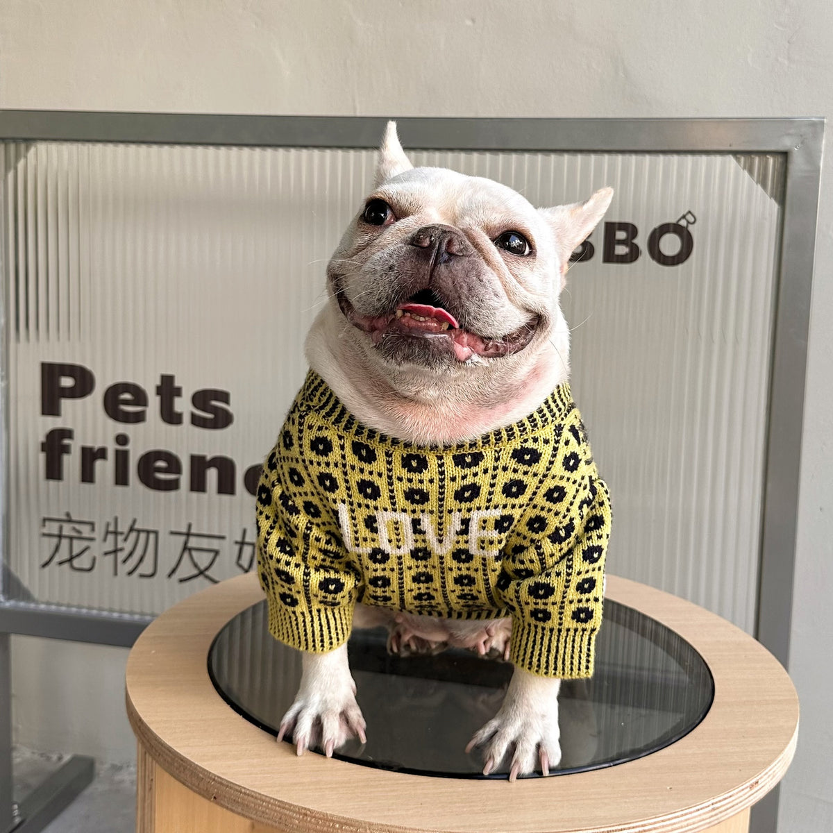 Winterpullover für Hund & Katze – Bild 11 | LuxeStyle