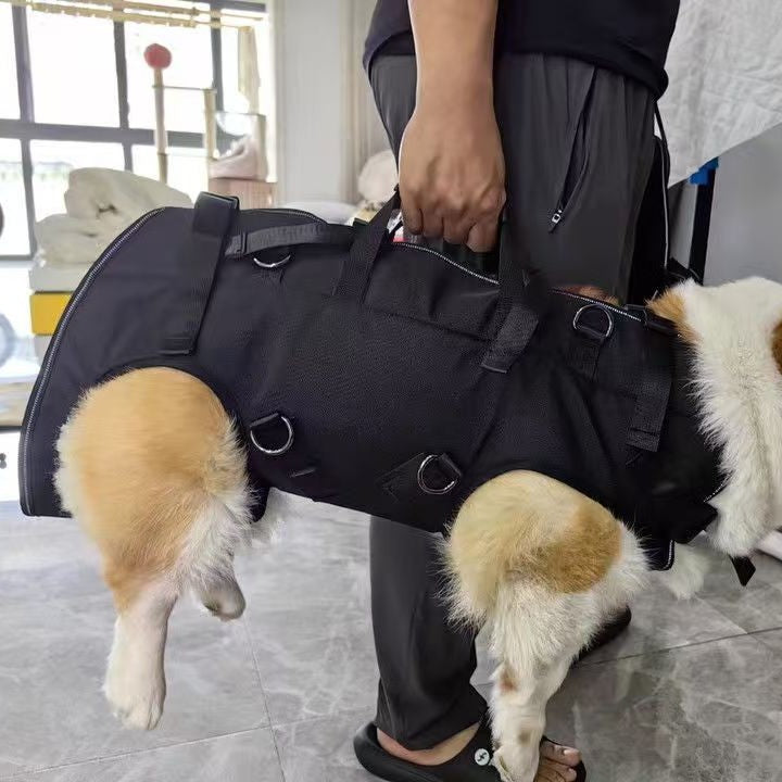 Hunde-Brusttasche für Velo und Spaziergänge
