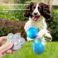 Ferngesteuerter Hüpfball für Hunde