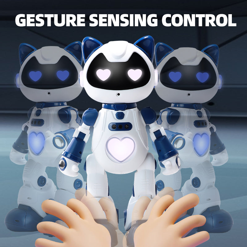 Intelligenter Roboter mit Gestensteuerung & Programmierung