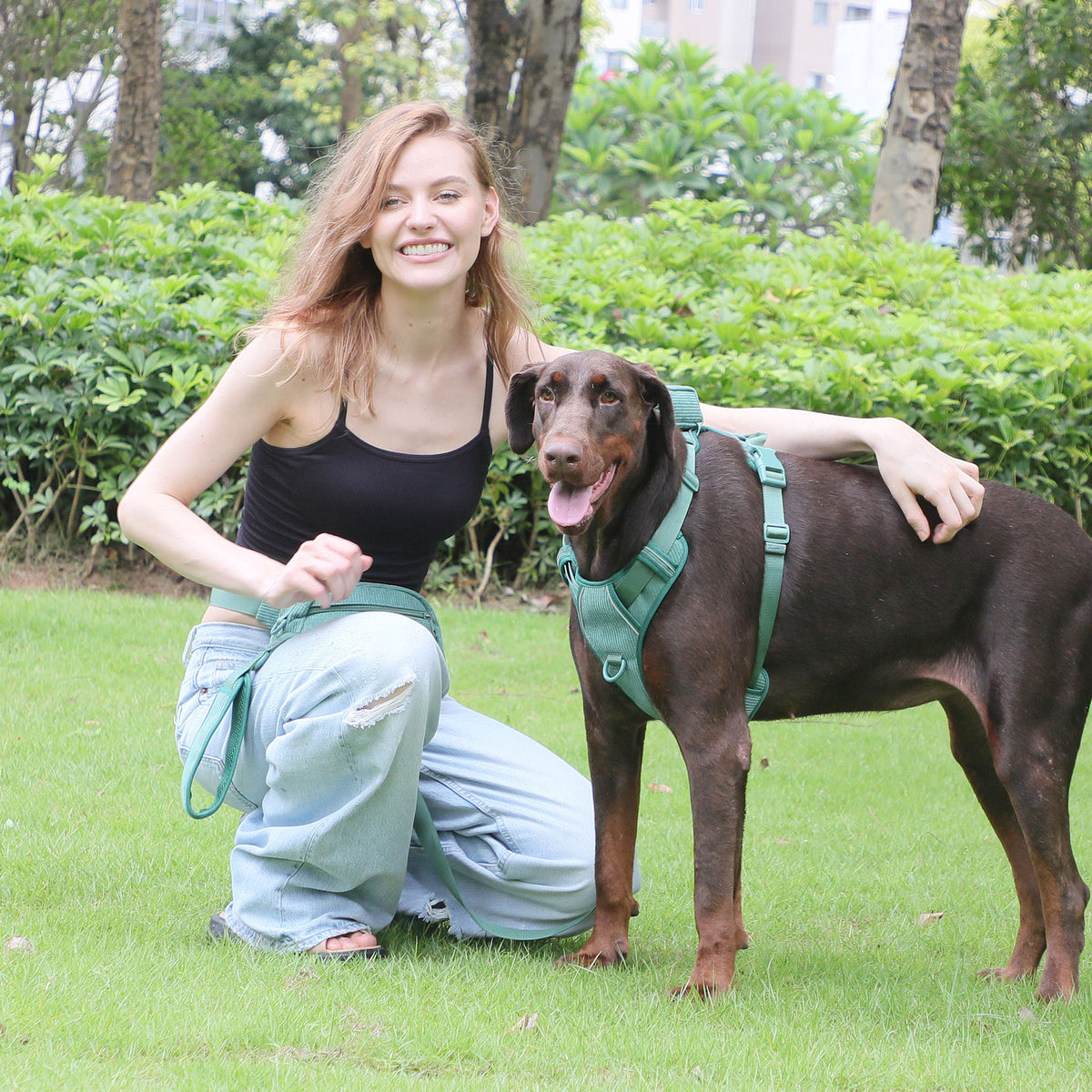 Hunde-Rucksack für Brust und Rücken – Bild 3 | LuxeStyle