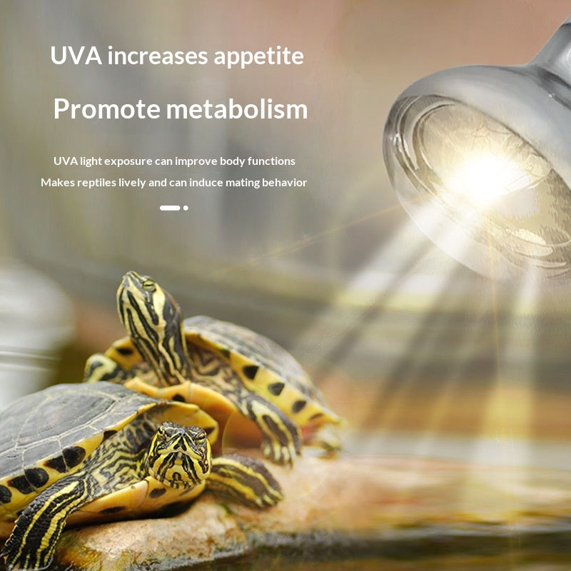 Turtle-Basking-Lampe
