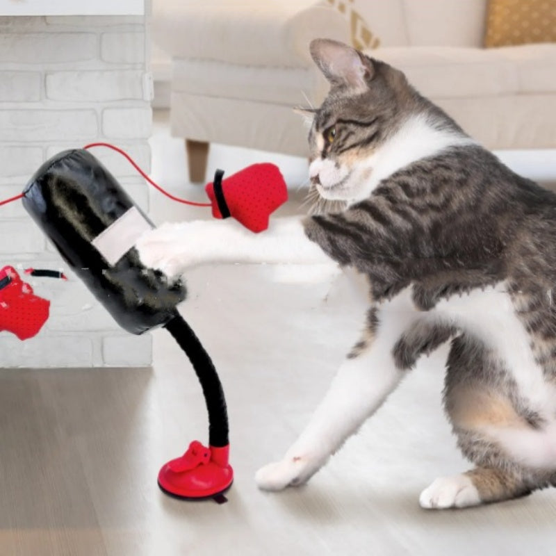 Boxspiel Katzen-Teaser aus Silikon