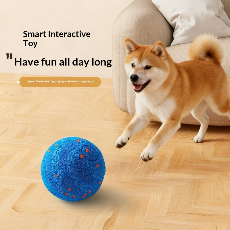 Automatischer Teaser-Ball für Hunde