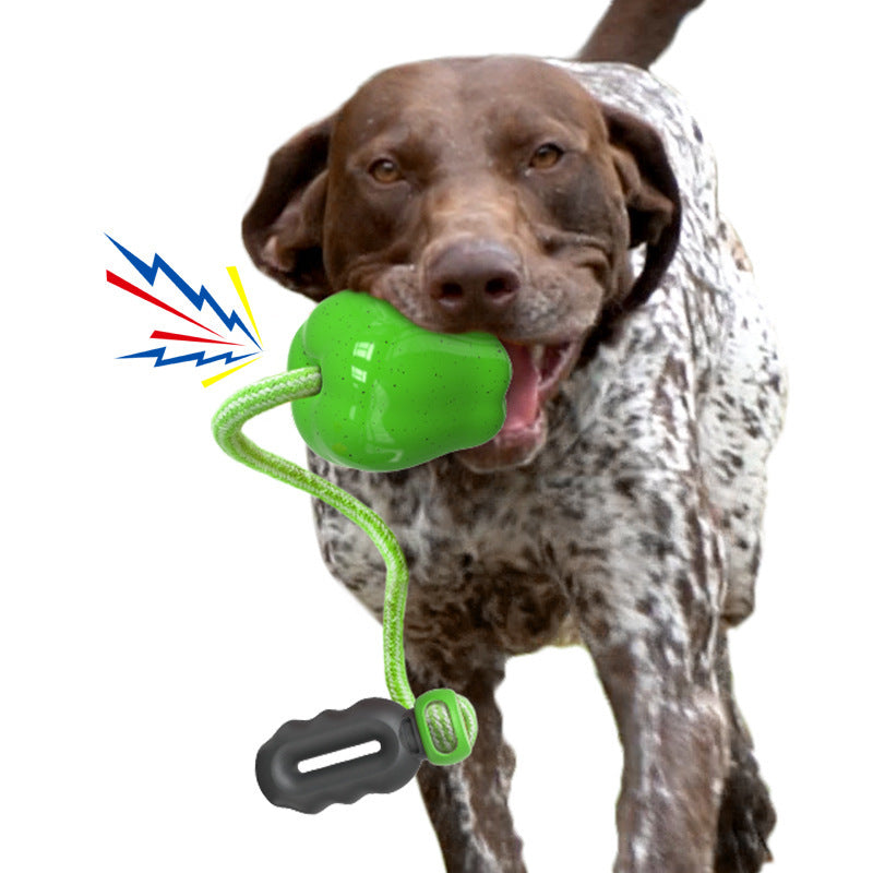 Kau-Spielball für Hunde – Bild 1 | LuxeStyle