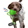 Kau-Spielball für Hunde