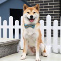 Japanischer Katzenkragen – Bild 1 | LuxeStyle