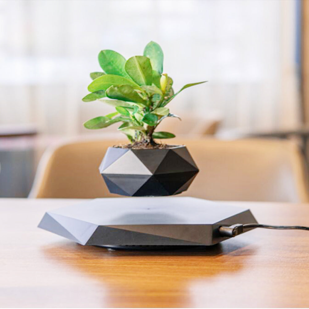 Schwebender Bonsai-Topf mit Magnet-Levitation