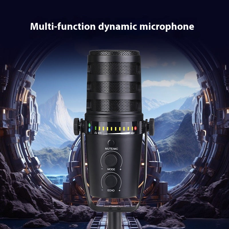 Moving Coil Mikrofon