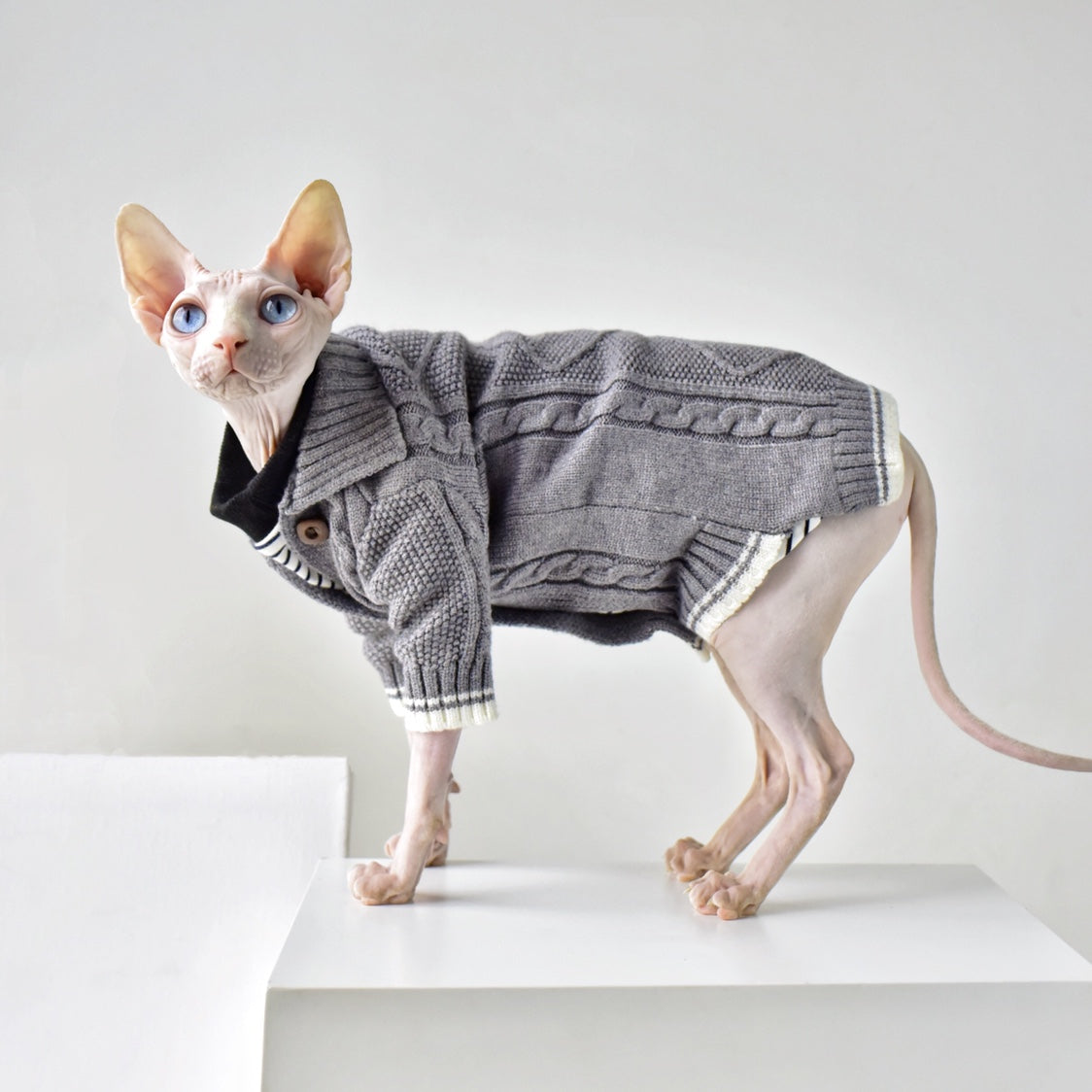 Vier Jahreszeiten Cardigan für haarlose Katzen – Bild 4 | LuxeStyle