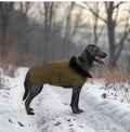 Hundejacke