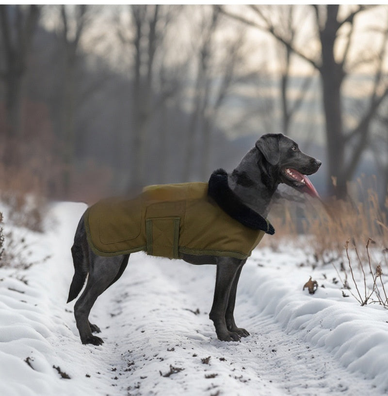 Hundejacke