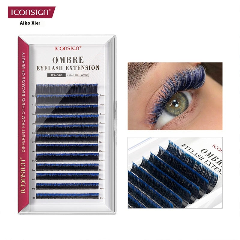 Farbverlauf-Eyelashes