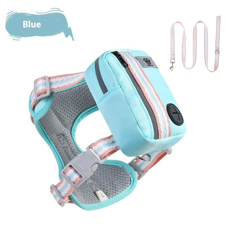 Sicheres Hundehalsband