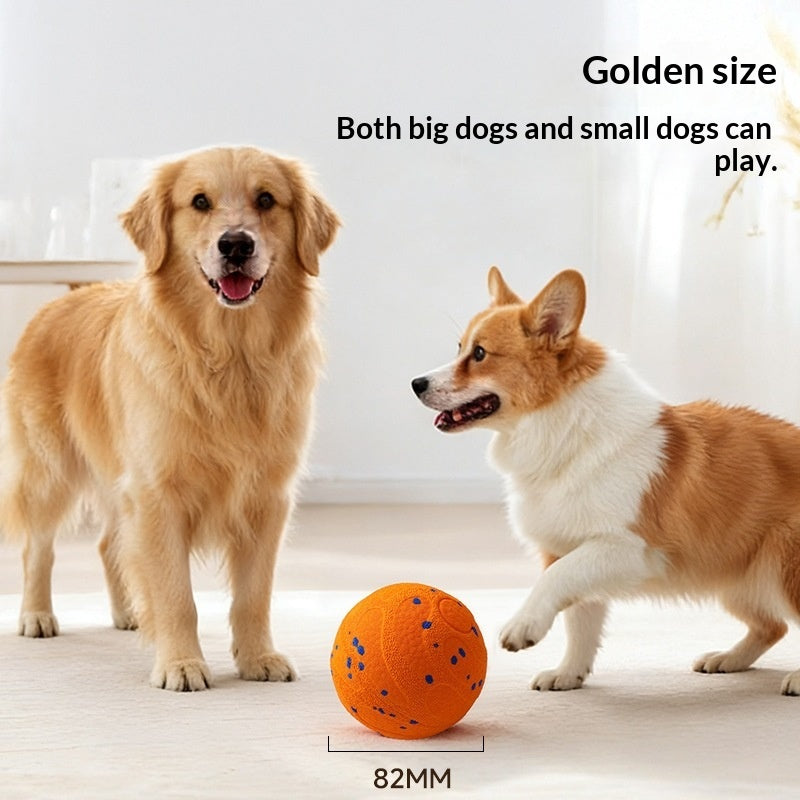 Automatischer Teaser-Ball für Hunde