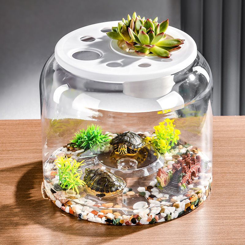 Pflanzkübel für Fische und Schildkröten