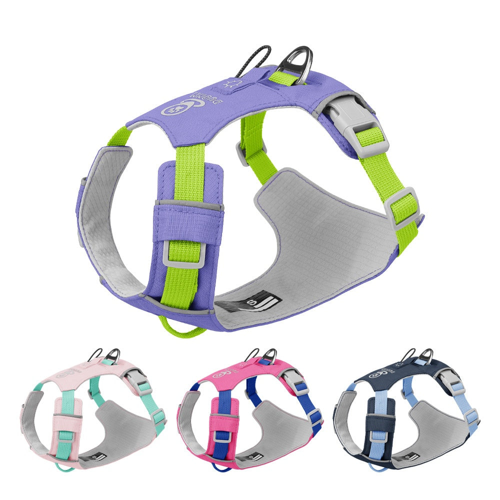 Wasserdichter Hundegurt