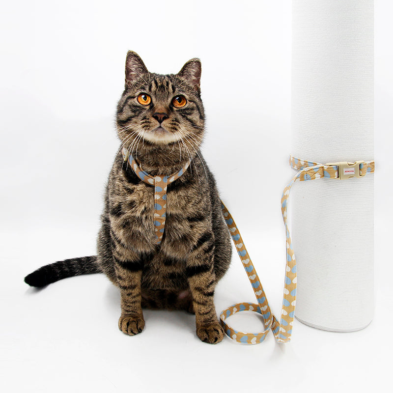 Zugseil für Katze und Hund, Britisch Kurzhaar – Bild 2 | LuxeStyle