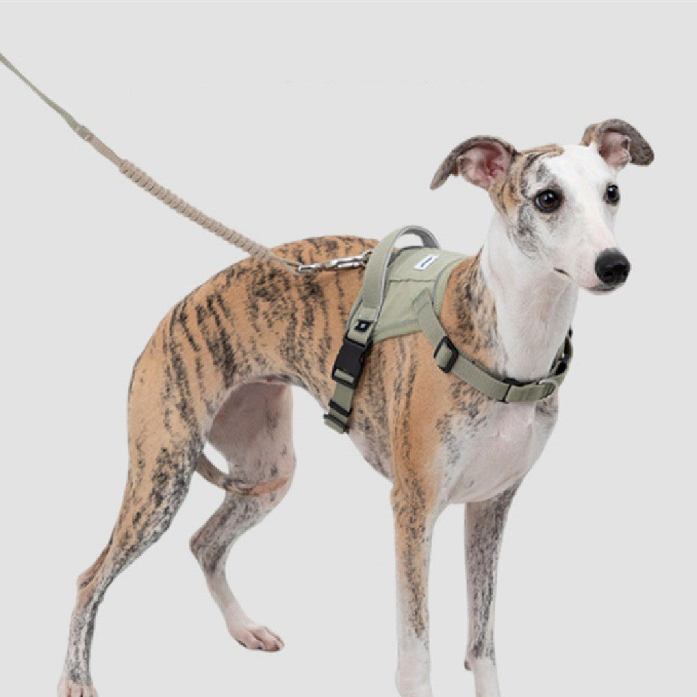 Hunde Brust- und Rückengurt