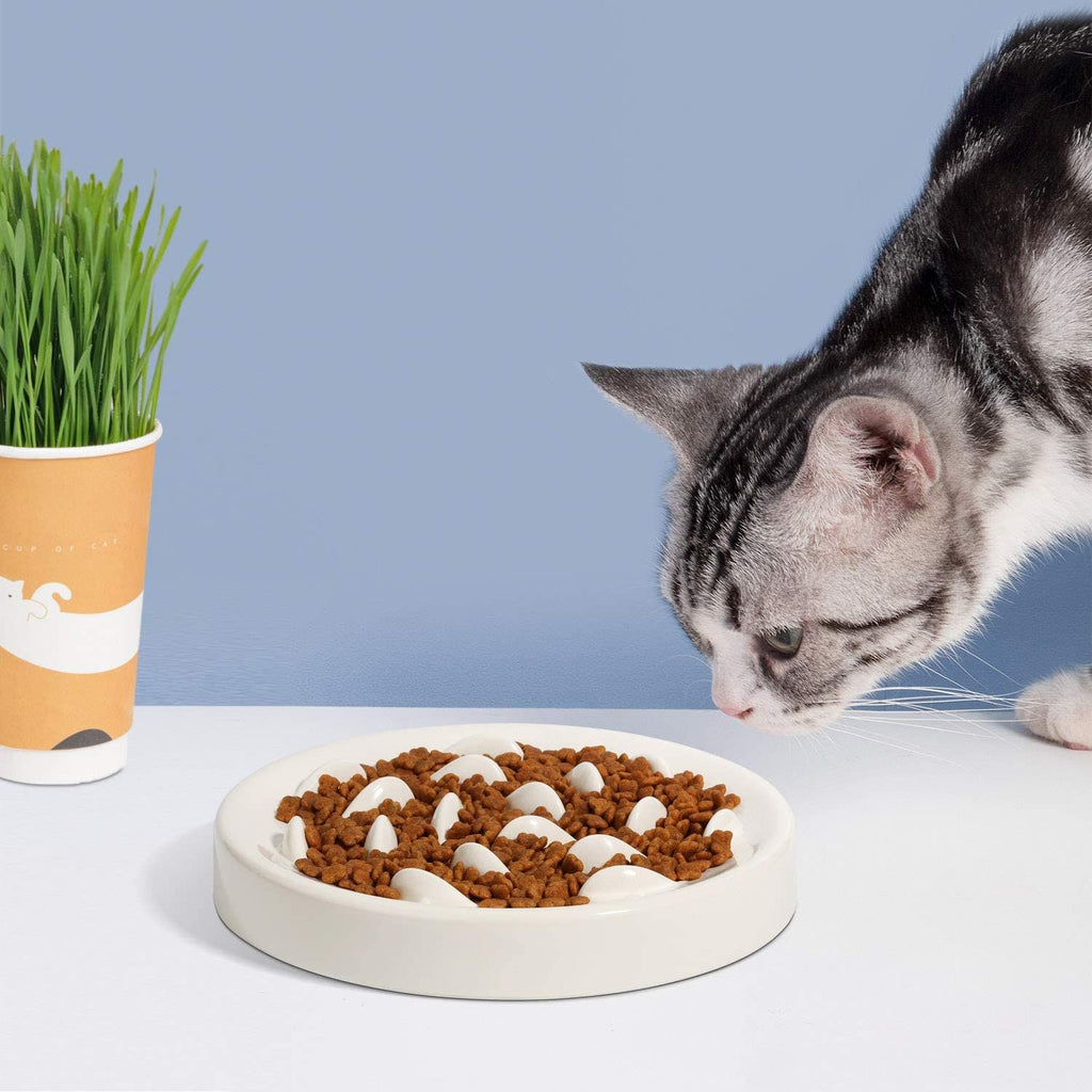 Langsam-Futter-Schüssel für Hund & Katze