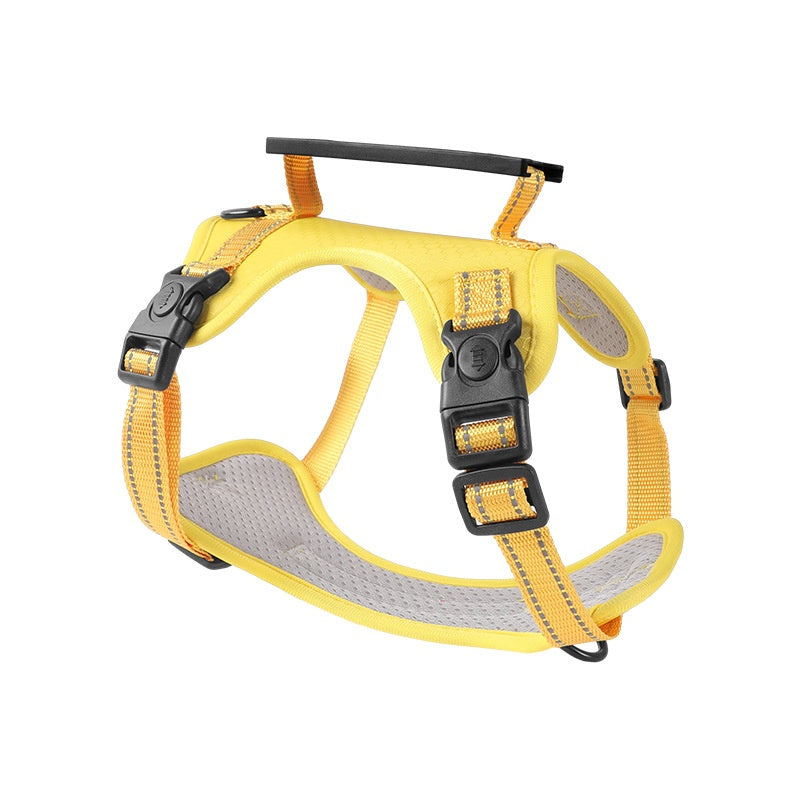 Hunde-Halsband mit Zugleinen