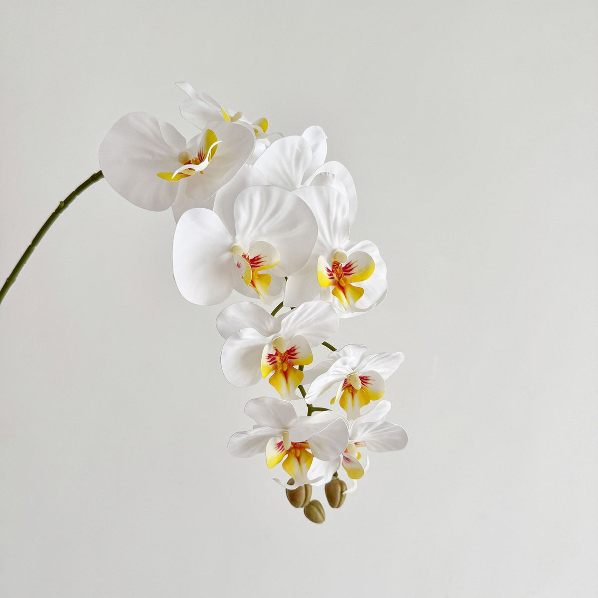 Orchideen-Tischarrangement – Bild 2 | LuxeStyle
