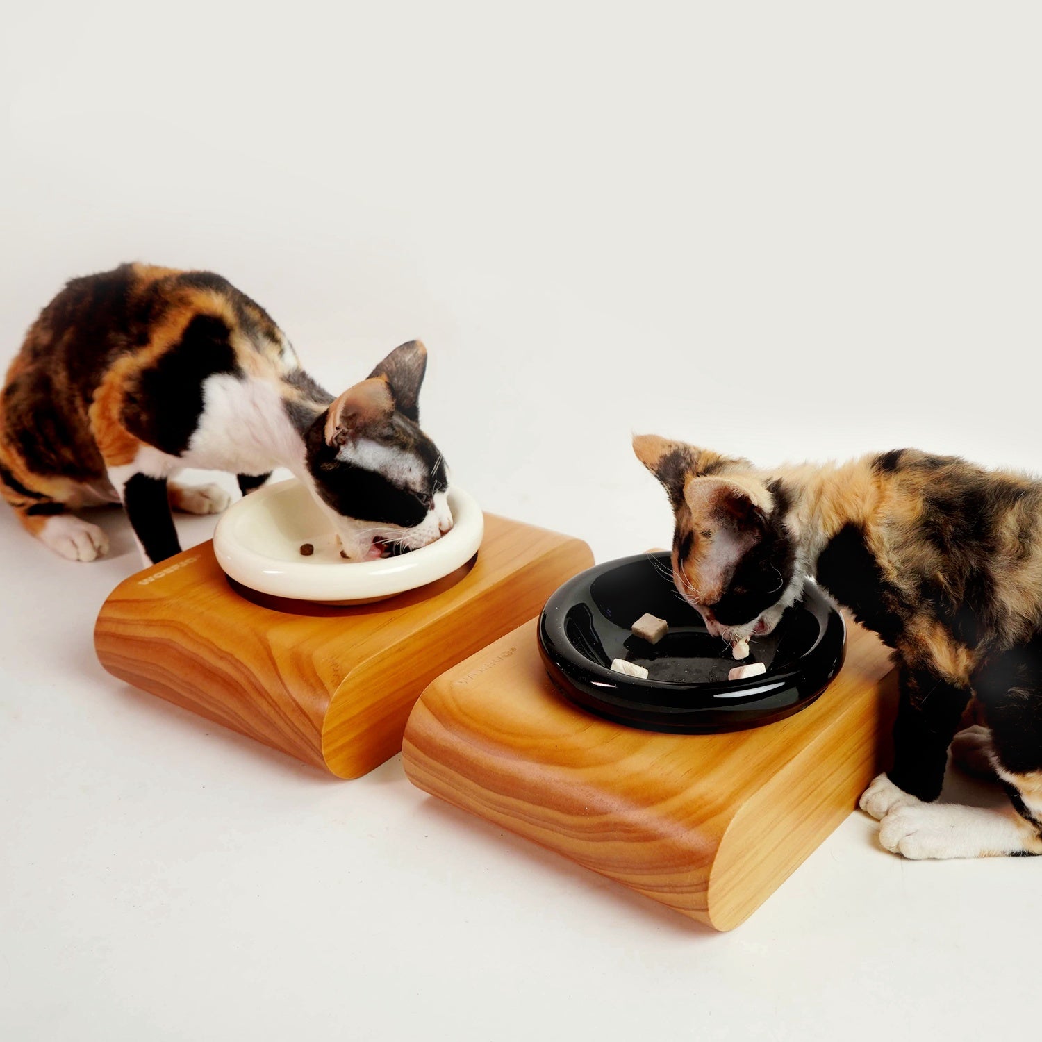 Erhöhtes Futtergeschirr