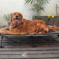 Doppellagige Falt-Hundematte