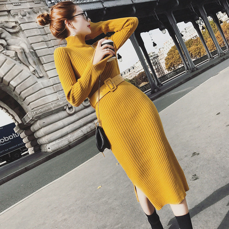 Rollkragen Strickkleid mit Schlitz