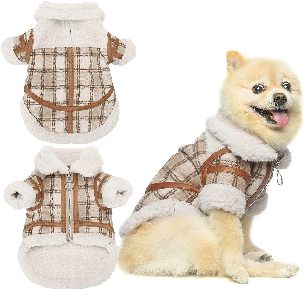 Karierte Hundekleidung