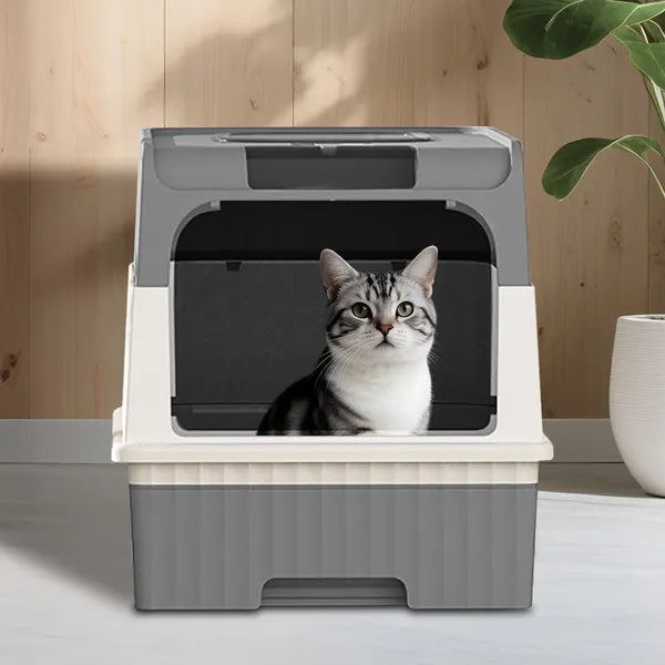 GreyMagic Cube Intelligente Katzentoilette